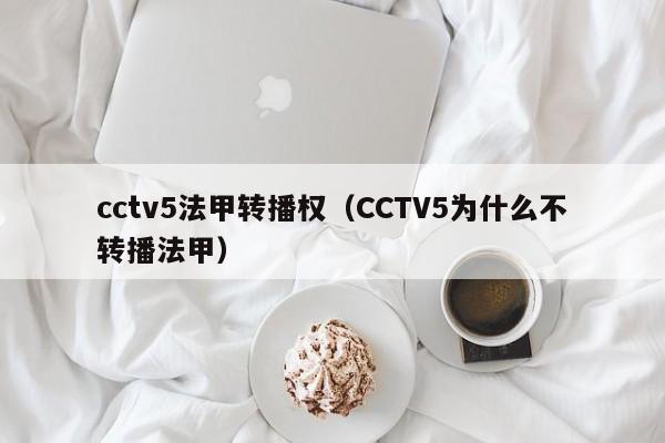 cctv5法甲转播权（CCTV5为什么不转播法甲）