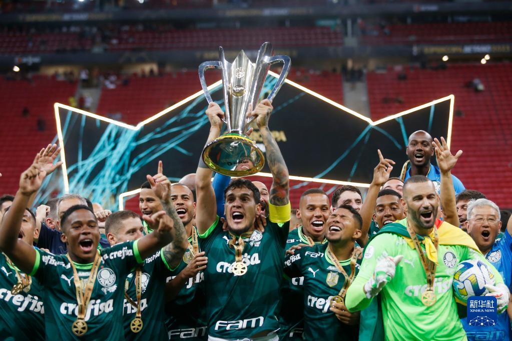 巴西超级杯:帕尔梅拉斯队夺冠